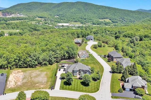 aerial view of a heavily wooded area and a mountain backdrop