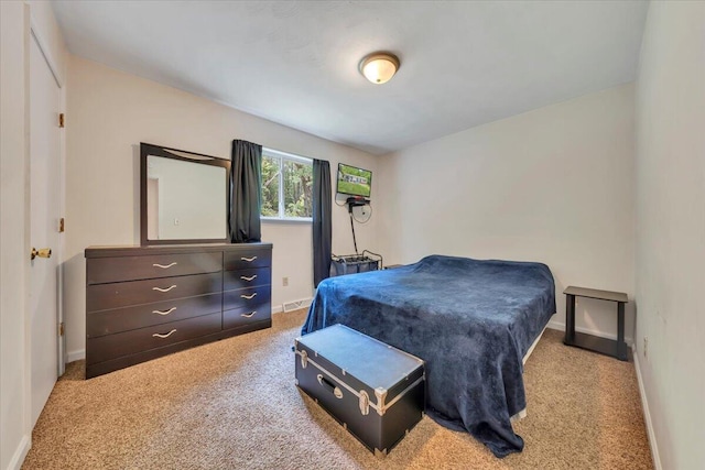 81 Ridgeview Cir, Roanoke, VA 24019 - bedroom featuring light colored carpet and baseboards