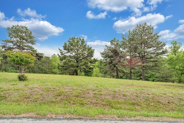 LOT66 Navigation Pt, Goodview, VA 24095