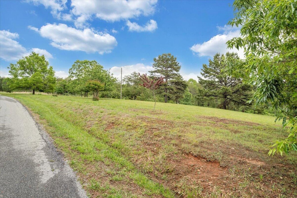 LOT66 Navigation Pt, Goodview, VA 24095
