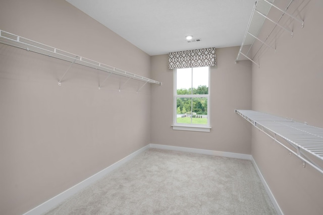 walk in closet featuring light colored carpet