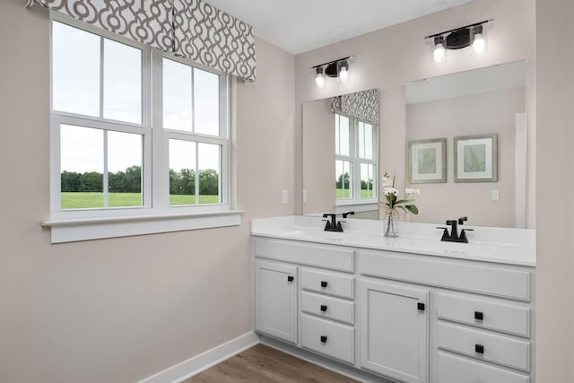bathroom featuring healthy amount of natural light, baseboards, double vanity, and wood finished floors