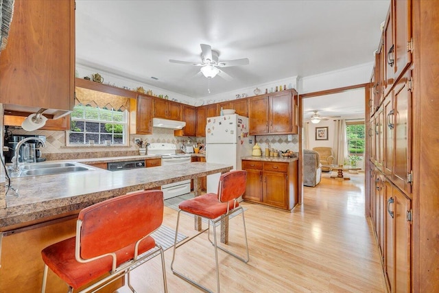 kitchen with white appliances, a sink, a ceiling fan, healthy amount of natural light, and crown molding