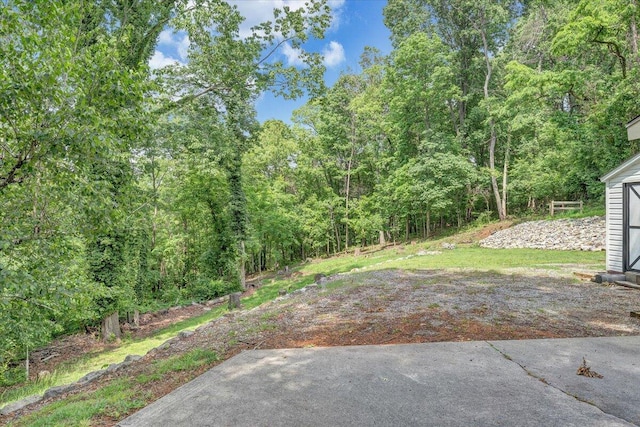 view of yard featuring a forest view