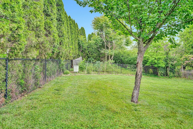 3643 Larson Ln, Roanoke, VA 24018 - view of yard