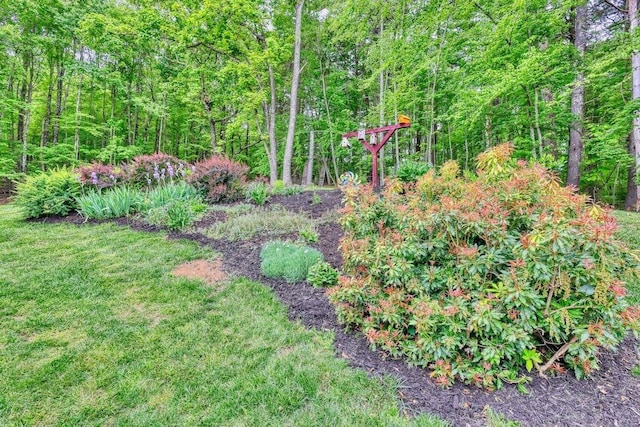 1530 Ridgeview Rd, Floyd, VA 24091 - view of grassy yard