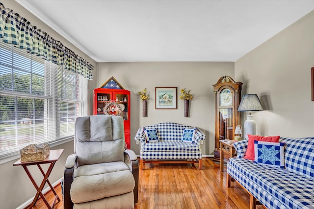 93 SW Ave, Buchanan, VA 24066 - living area with plenty of natural light, hardwood / wood-style floors, and baseboards