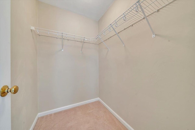 3326 Belshire Ct SW, Roanoke, VA 24014 - spacious closet with light colored carpet