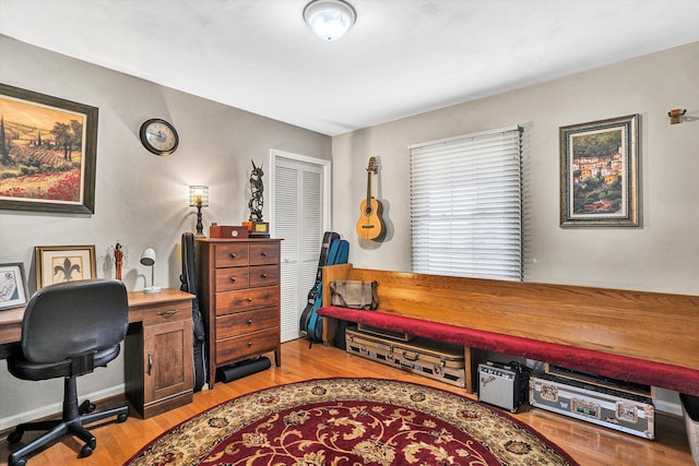 230 Pinehaven Rd, Fincastle, VA 24090 - office with light wood finished floors