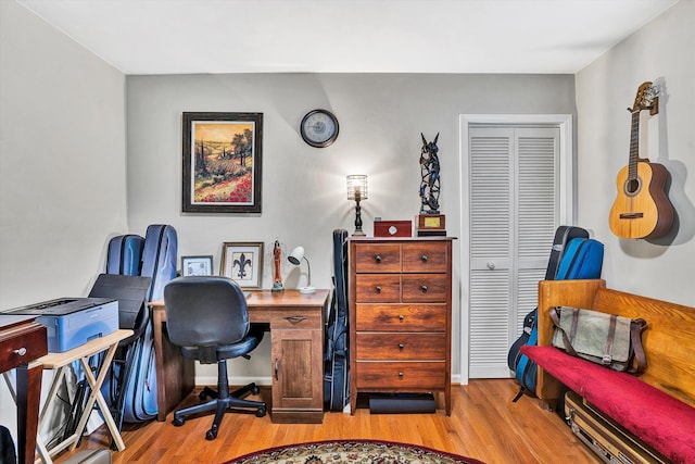 230 Pinehaven Rd, Fincastle, VA 24090 - office area featuring light wood finished floors