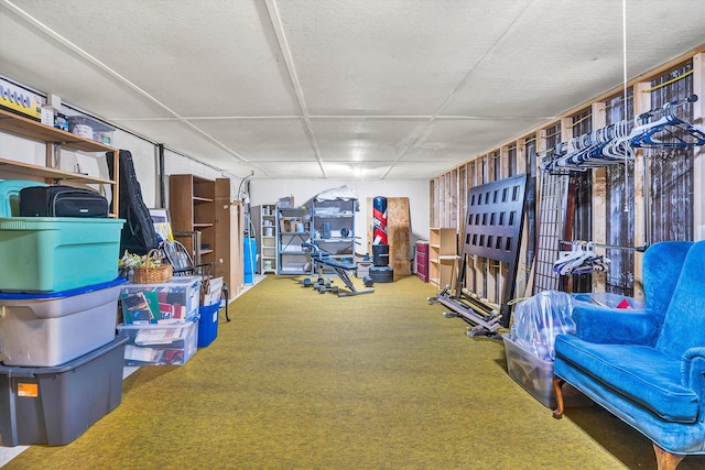 230 Pinehaven Rd, Fincastle, VA 24090 - basement featuring carpet flooring