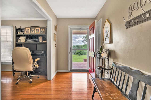 230 Pinehaven Rd, Fincastle, VA 24090 - office space featuring wood finished floors and baseboards