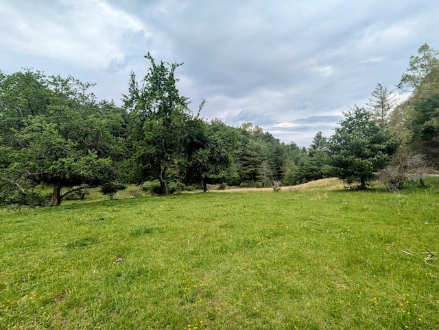 0 Alum Ridge Rd NW, Willis, VA 24380