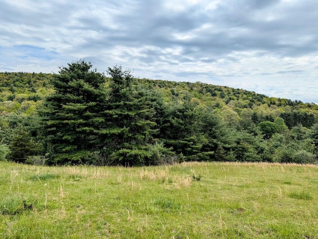 0 Alum Ridge Rd NW, Willis, VA 24380