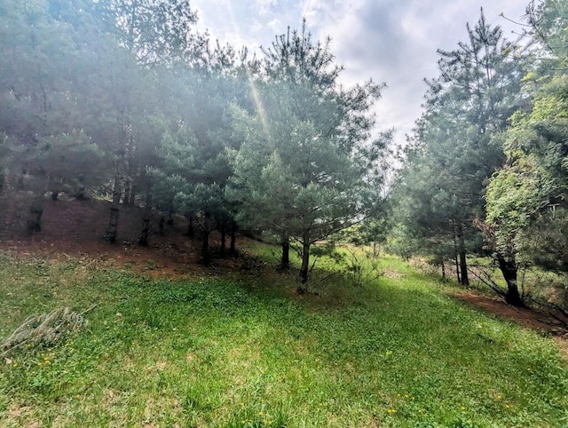 0 Alum Ridge Rd NW, Willis, VA 24380