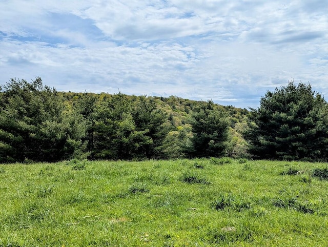 0 Alum Ridge Rd NW, Willis, VA 24380