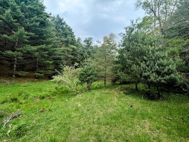 0 Alum Ridge Rd NW, Willis, VA 24380