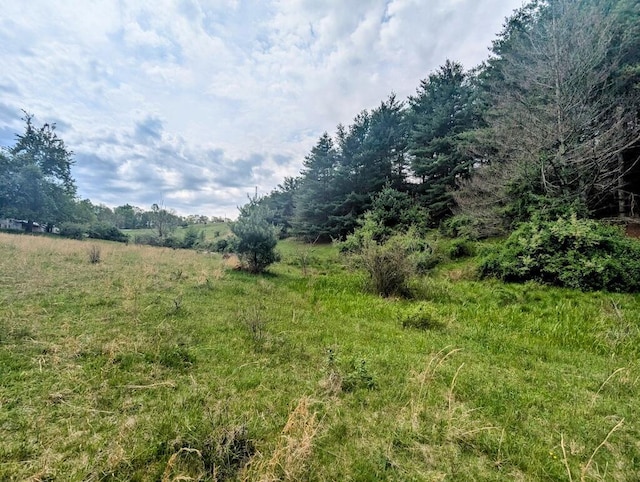 0 Alum Ridge Rd NW, Willis, VA 24380