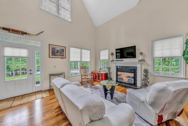 1309 W Pine Ridge Rd, Huddleston, VA 24104 - living area with high vaulted ceiling, plenty of natural light, wood finished floors, and a high end fireplace