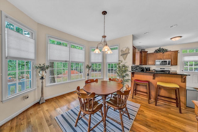 1309 W Pine Ridge Rd, Huddleston, VA 24104 - dining area with light wood-type flooring and baseboards