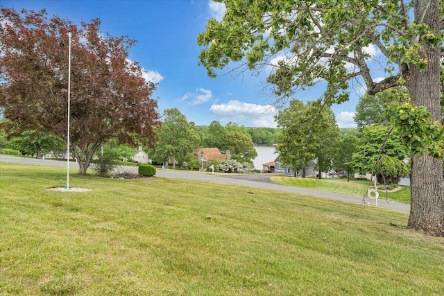 205 Park Shores Cir, Moneta, VA 24121 - view of green lawn