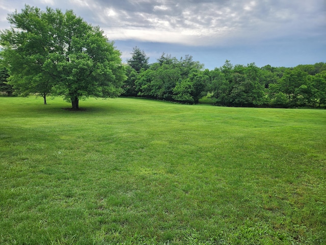 215 Overlook Rd, Vinton, VA 24179 - view of green lawn