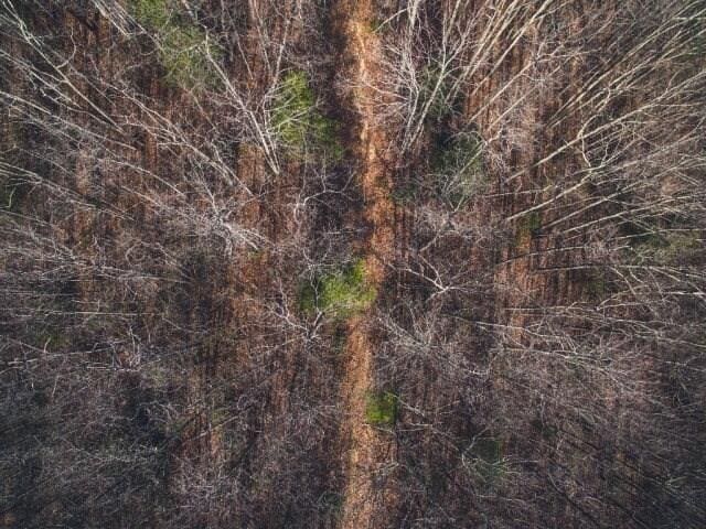 0 Honeysuckle Rd, Elliston, VA 24087