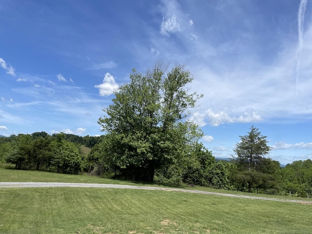 view of green lawn featuring a wooded view
