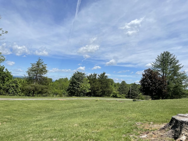view of green lawn featuring a wooded view and a view of rural / pastoral area