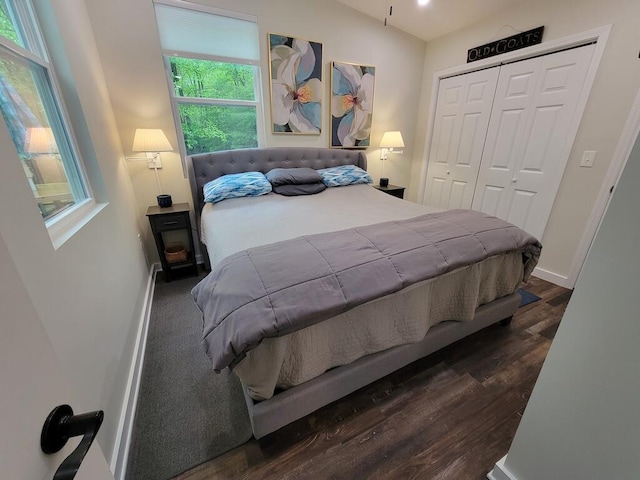 3119 Buffalo Mountain Rd SW, Willis, VA 24380 - bedroom with wood finished floors, a closet, baseboards, and lofted ceiling