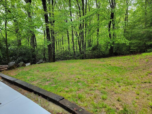 3119 Buffalo Mountain Rd SW, Willis, VA 24380 - view of grassy yard with a forest view