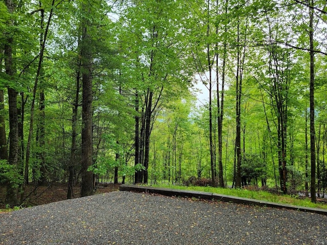 3119 Buffalo Mountain Rd SW, Willis, VA 24380 - view of tree filled area