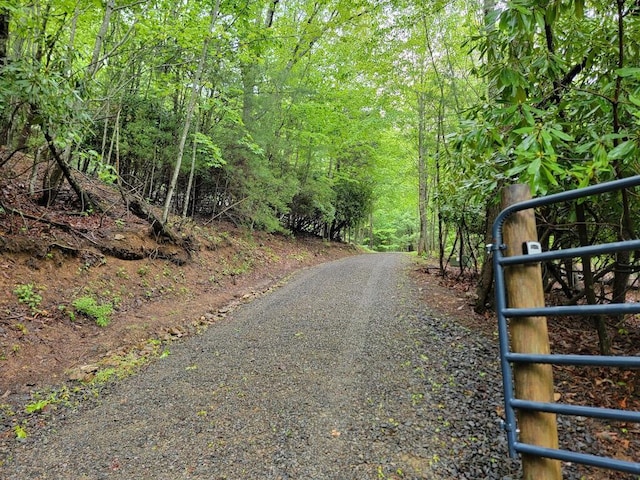 3119 Buffalo Mountain Rd SW, Willis, VA 24380 - view of dirt / gravel road featuring a gated entry