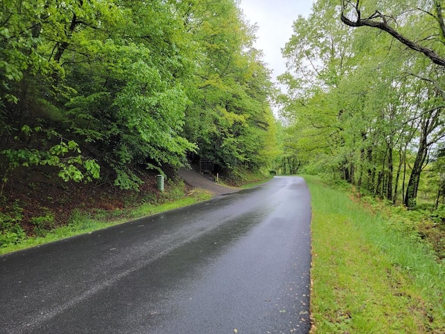 3119 Buffalo Mountain Rd SW, Willis, VA 24380 - view of asphalt road with a view of trees