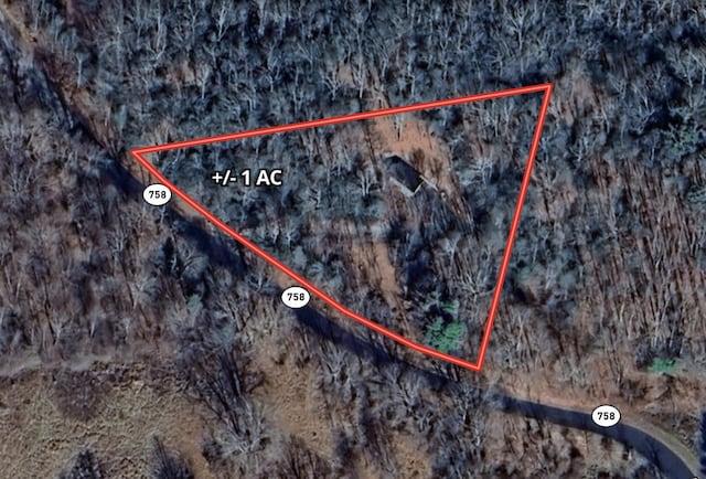 3119 Buffalo Mountain Rd SW, Willis, VA 24380 - map / location featuring property boundaries highlighted
