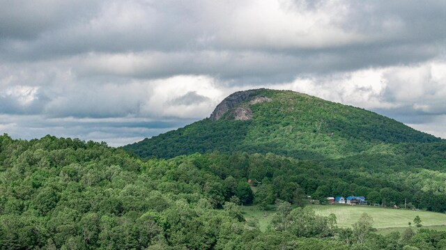 3119 Buffalo Mountain Rd SW, Willis, VA 24380 - mountain view with a heavily wooded area