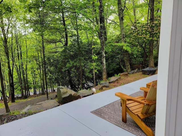 3119 Buffalo Mountain Rd SW, Willis, VA 24380 - view of patio / terrace featuring a wooded view