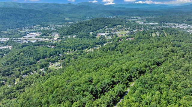 1104 Dolly Ann Dr, Covington, VA 24426 - bird's eye view of a heavily wooded area and a mountain backdrop