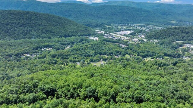 1104 Dolly Ann Dr, Covington, VA 24426 - view of mountain backdrop featuring a forest
