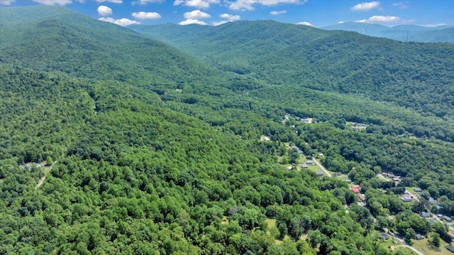 1104 Dolly Ann Dr, Covington, VA 24426 - view of mountain background featuring a heavily wooded area