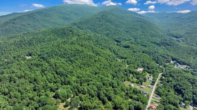 1104 Dolly Ann Dr, Covington, VA 24426 - view of mountain background with a forest