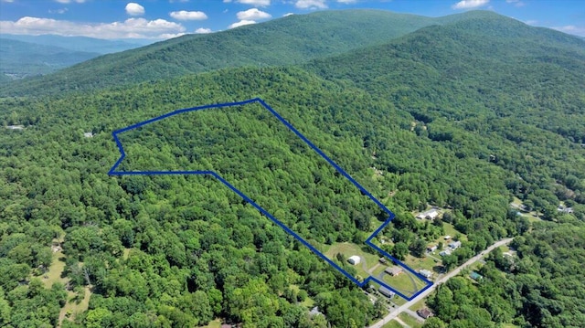 1104 Dolly Ann Dr, Covington, VA 24426 - view of property location featuring a heavily wooded area, property boundaries highlighted, and mountains