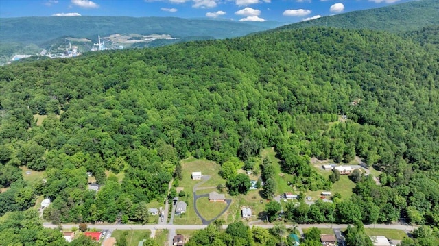 1104 Dolly Ann Dr, Covington, VA 24426 - view of property location with a heavily wooded area and a mountain backdrop