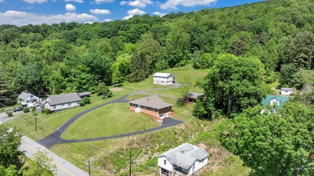 1104 Dolly Ann Dr, Covington, VA 24426 - aerial view of a forest