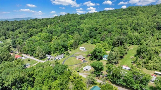 1104 Dolly Ann Dr, Covington, VA 24426 - aerial overview of property's location with a heavily wooded area