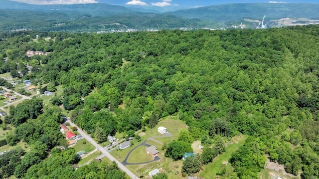 1104 Dolly Ann Dr, Covington, VA 24426 - aerial view of property's location featuring a heavily wooded area and a mountainous background
