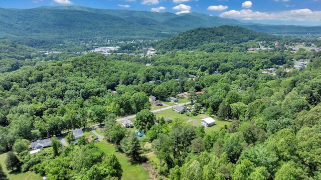 1104 Dolly Ann Dr, Covington, VA 24426 - aerial overview of property's location featuring a heavily wooded area and mountains