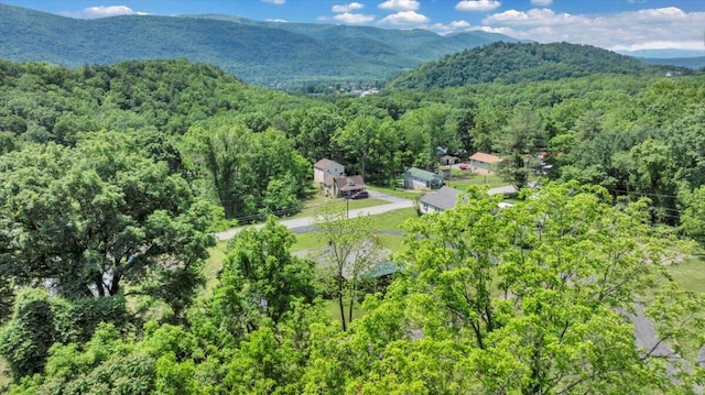 1104 Dolly Ann Dr, Covington, VA 24426 - aerial overview of property's location with a forest and a mountain backdrop