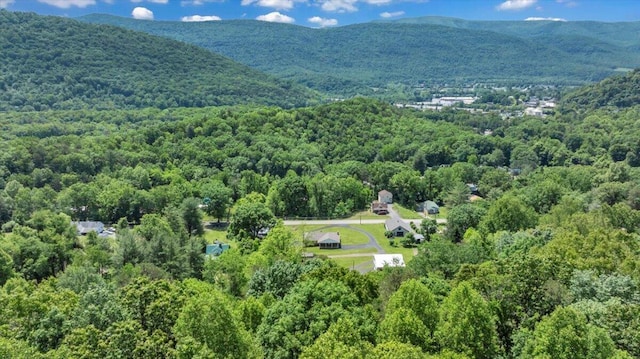 1104 Dolly Ann Dr, Covington, VA 24426 - drone / aerial view of a forest and mountains