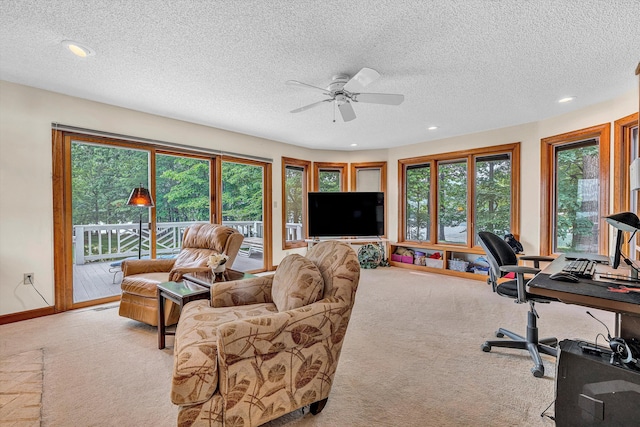 217 Anthony Home Rd, Huddleston, VA 24104 - office space with carpet flooring, a ceiling fan, recessed lighting, a textured ceiling, and baseboards